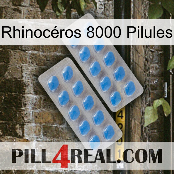 Rhinocéros 8000 Pilules 23